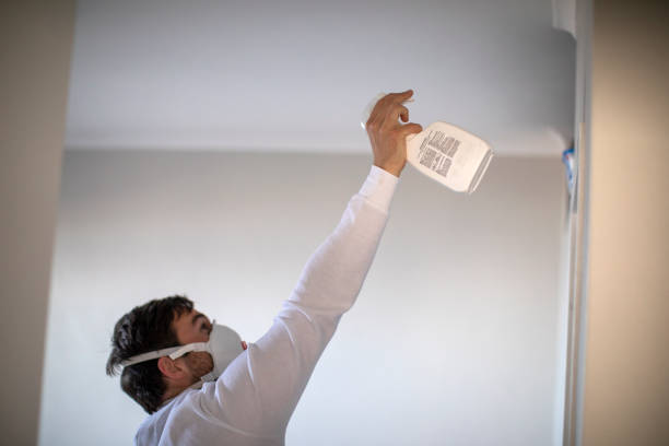 Best Attic Mold Removal  in White Marsh, MD