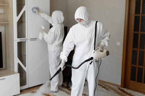 Best Certified Mold Removal  in White Marsh, MD